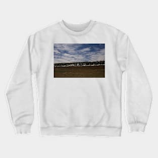 WGC_3947 Crewneck Sweatshirt